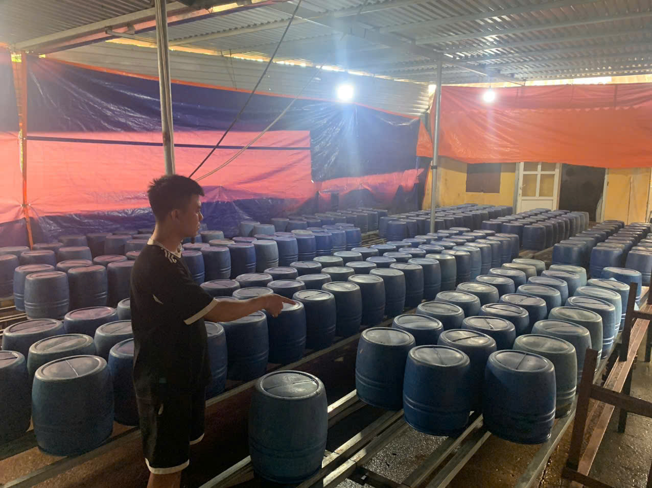 Quảng Ninh: Thu giữ gần 2 tấn giá đỗ "ngậm" hóa chất cấm đe dọa sức khỏe cộng đồng
