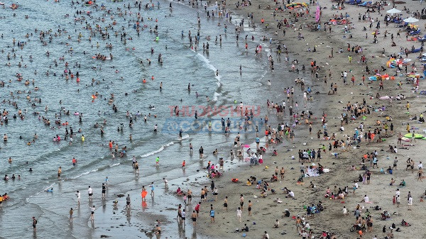 Du kh&aacute;ch tắm biển tại b&atilde;i tắm H&ograve;n Chồng, P. Nam Nha Trang