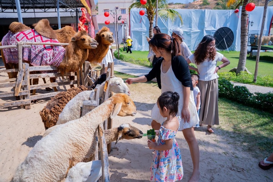 Du kh&aacute;ch vui chơi tại L&acirc;m Đồng biển xanh