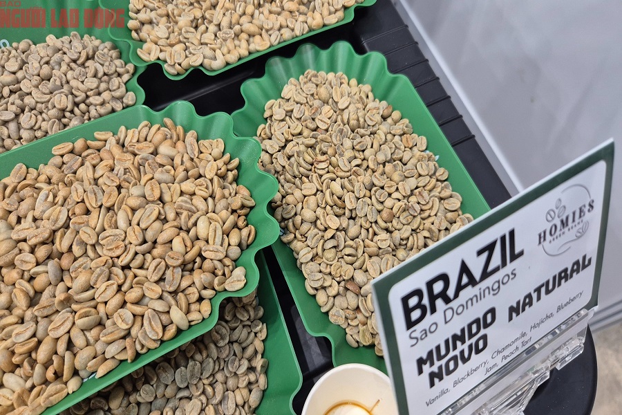 Gi&aacute; c&agrave; ph&ecirc; thế giới phụ thuộc nhiều v&agrave;o Brazil, nơi cung cấp gần 40% sản lượng to&agrave;n cầu