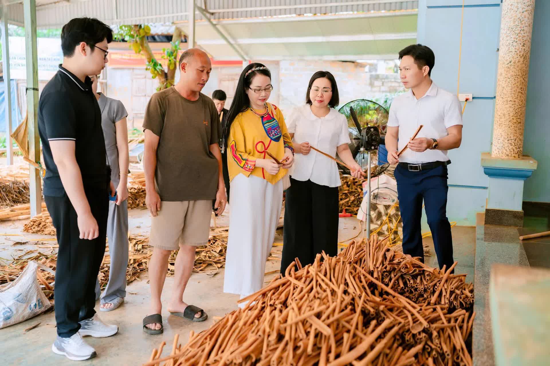 Lào Cai triển khai chương trình 1.000 doanh nghiệp tiên phong, tạo động lực tăng trưởng bền vững