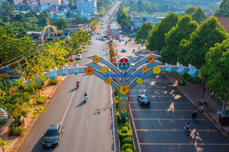 V&agrave;o khoảng cuối m&ugrave;a kh&ocirc; h&agrave;ng năm, Osaka nở nhuộm v&agrave;ng những con đường, tạo n&ecirc;n h&igrave;nh ảnh rất đặc trưng cho khu vực Gia Nghĩa