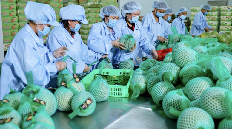 Xuất nhập khẩu duy trì đà tăng trưởng, thương mại quốc tế tiếp tục khởi sắc