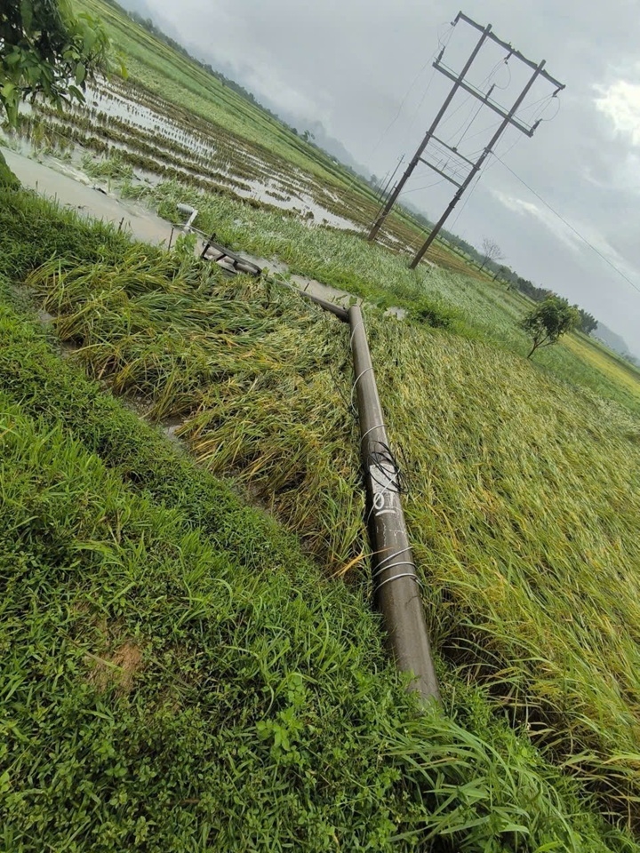 Do ảnh hưởng của lốc xo&aacute;y, nhiều cột điện trung, hạ &aacute;p tr&ecirc;n địa b&agrave;n tỉnh Nghệ An bị quật đổ, g&acirc;y sự cố lưới điện tr&ecirc;n diện rộng v&agrave; thiệt hại t&agrave;i sản của ng&agrave;nh Điện