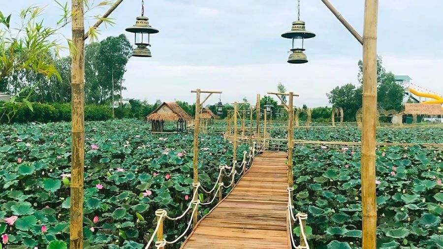 Đồng Tháp: Hơn 669.000 lượt khách trải nghiệm lễ hội và du lịch sinh thái