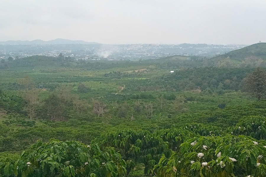 Ph&iacute;a T&acirc;y tỉnh, n&ocirc;ng nghiệp c&ocirc;ng nghệ cao đang ph&aacute;t triển mạnh.