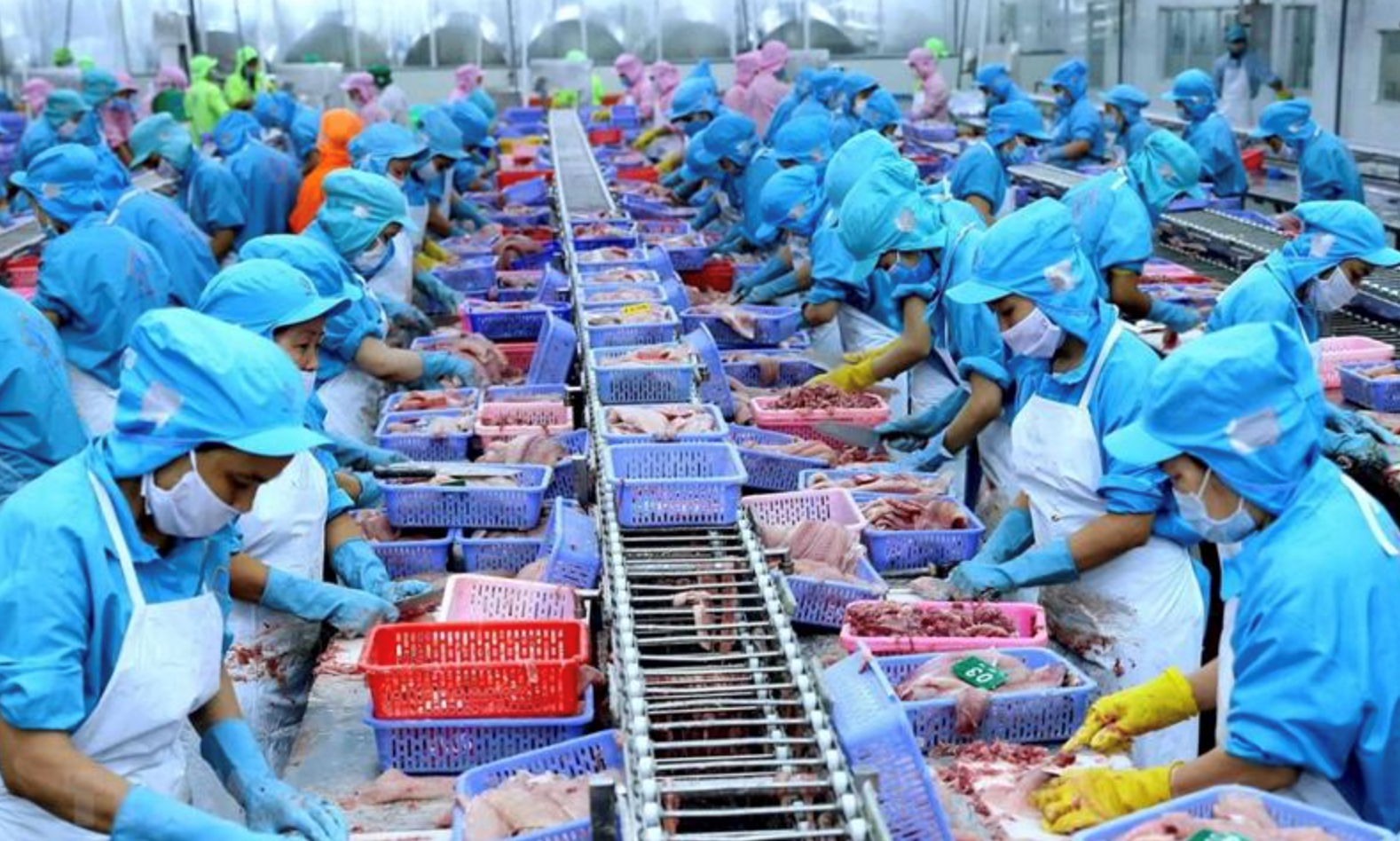 Trung Quốc tiếp tục l&agrave; thị trường nhập khẩu lớn nhất của n&ocirc;ng, l&acirc;m, thủy sản Việt Nam với thị phần 21,1% (Ảnh minh họa)