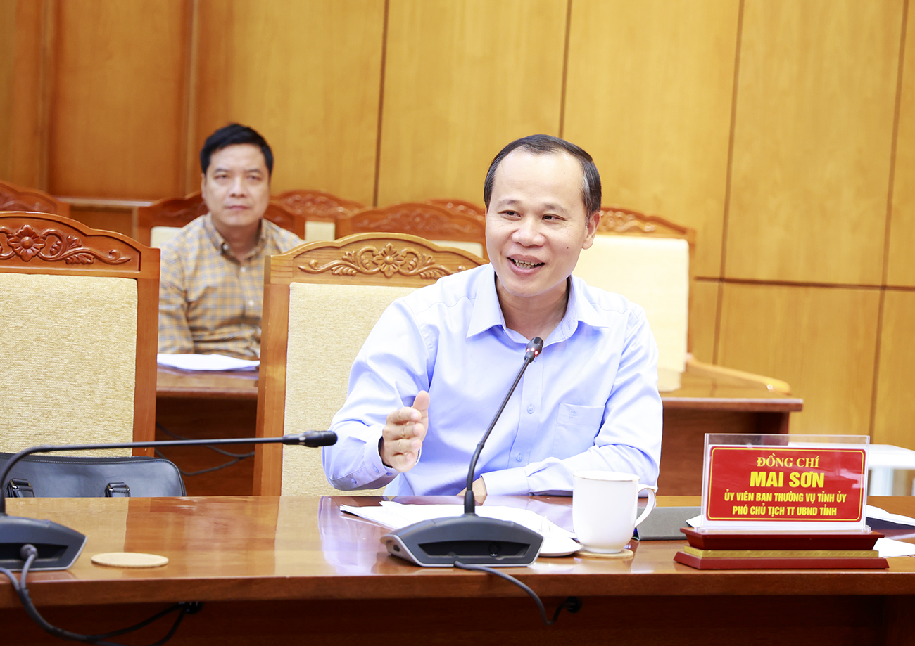 Đồng ch&iacute; Mai Sơn, Ph&oacute; Chủ tịch Thường trực UBND tỉnh ph&aacute;t biểu tại hội nghị.