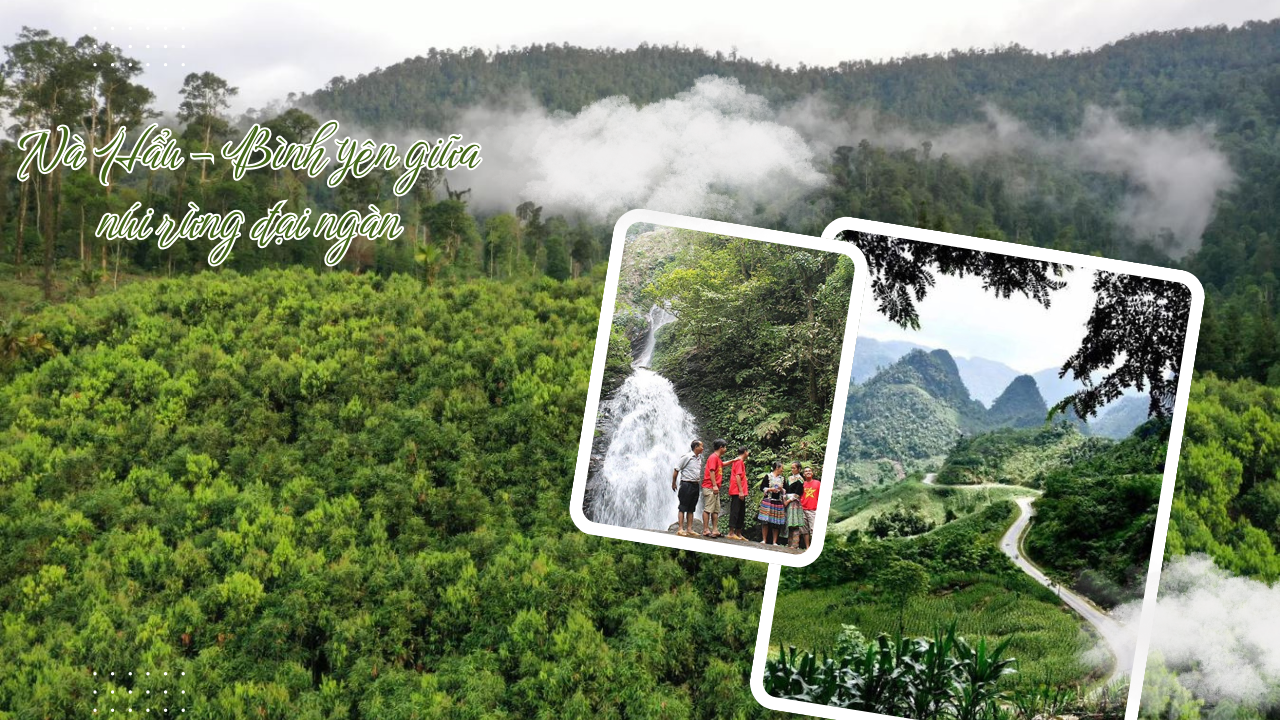 Đến với N&agrave; Hẩu, du kh&aacute;ch c&oacute; thể tham gia nhiều hoạt động gắn với thi&ecirc;n nhi&ecirc;n như trekking xuy&ecirc;n rừng, leo n&uacute;i, tắm th&aacute;c...