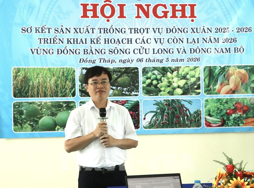 &Ocirc;ng Nguyễn Quốc Mạnh, Ph&oacute; Cục trưởng Cục Trồng trọt v&agrave; Bảo vệ thực vật ph&aacute;t biểu tại hội nghị. (Ảnh: TTXVN)