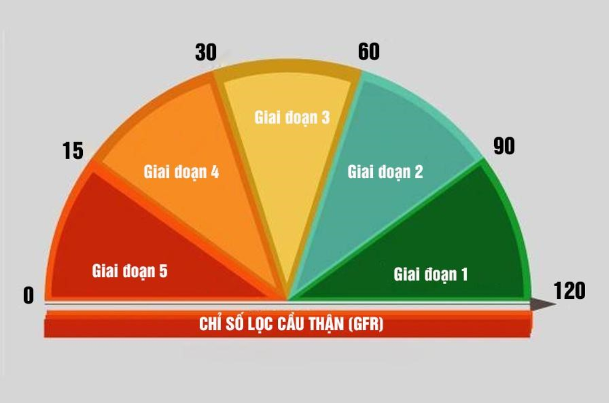Suy thận độ 1 l&agrave; giai đoạn sớm của bệnh
