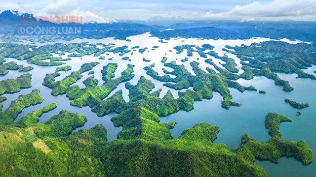 Một g&oacute;c Vườn Quốc gia T&agrave; Đ&ugrave;ng (L&acirc;m Đồng).