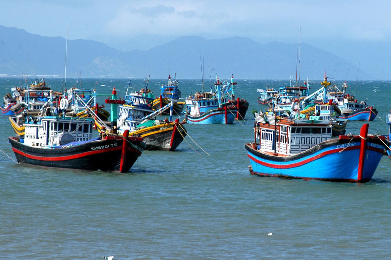 Kiện toàn Ban Chỉ đạo quốc gia về IUU, phát triển bền vững ngành thủy sản