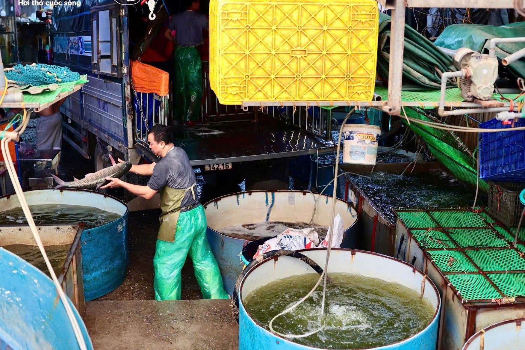 Hoạt động bu&ocirc;n b&aacute;n tại chợ c&aacute; Y&ecirc;n Sở vẫn diễn ra nhộn nhịp d&ugrave; khu vực n&agrave;y nằm trong diện phải giải tỏa.