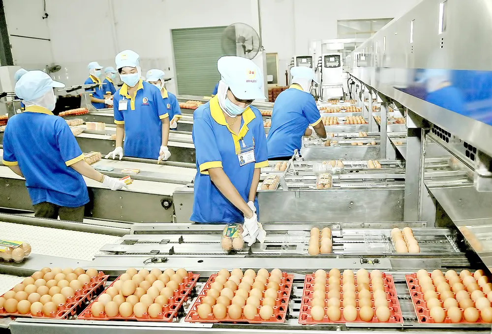 Doanh nghiệp rút lui khỏi thị trường: Áp lực lớn nhưng cũng mở ra quá trình  tái cấu trúc mới