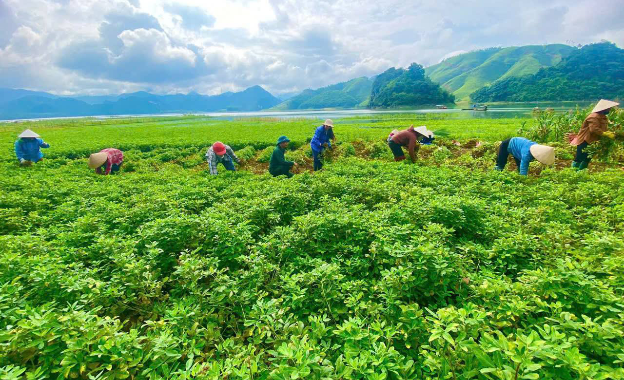 Lào Cai phấn đấu thành lập mới ít nhất 60 hợp tác xã nông nghiệp đến năm 2030