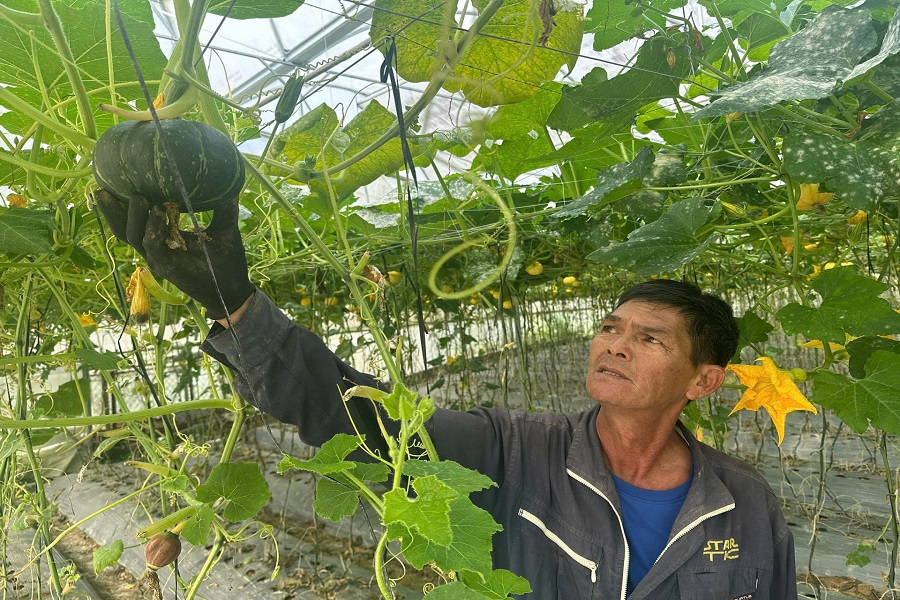 L&acirc;m Đồng đang đa dạng h&oacute;a c&aacute;c sản phẩm hữu cơ từ rau, củ, quả đến gia cầm, thủy sản