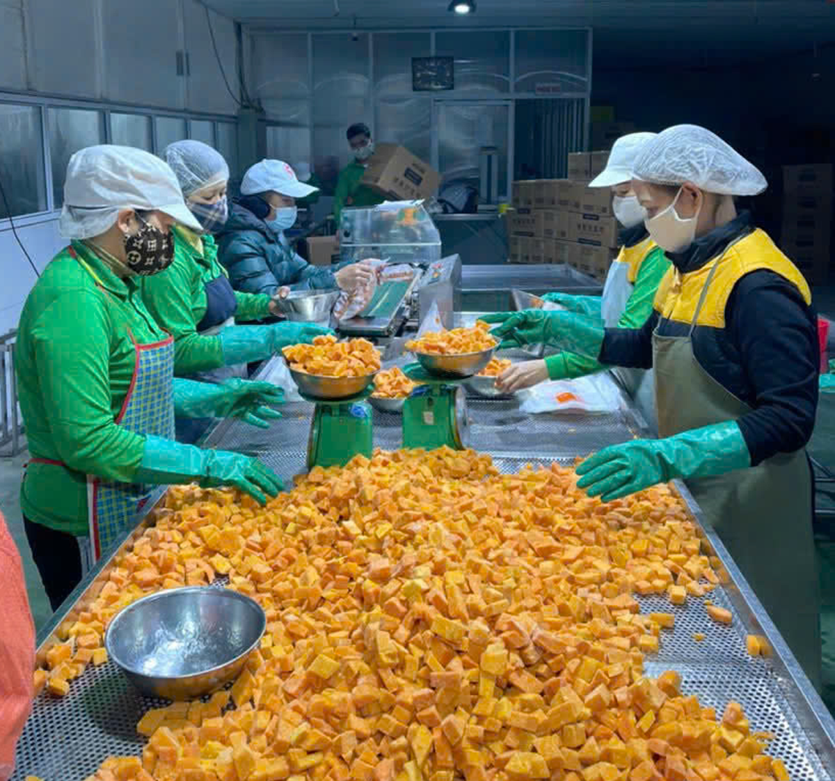 D&acirc;y chuyền sản xuất C&ocirc;ng ty cổ phần Vifoco, 1 trong 32 doanh nghiệp Khoa học c&ocirc;ng nghệ tỉnh Bắc Ninh