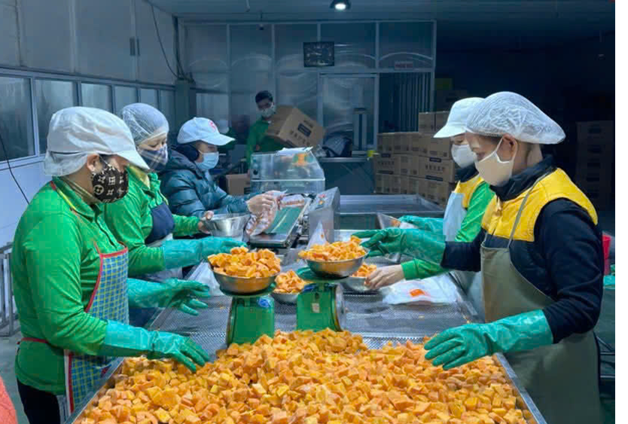 Bắc Ninh cấp Giấy chứng nhận cho 32 doanh nghiệp khoa học và công nghệ