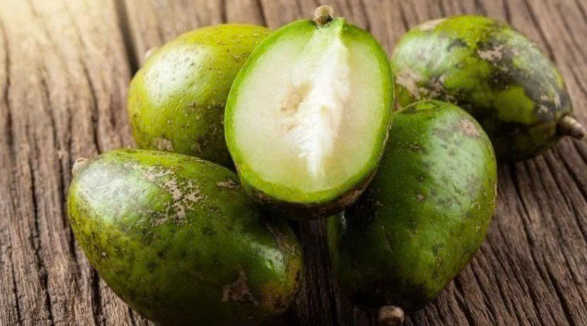 Một loại trái cây dân dã với vị chua đặc trưng nhưng lại chứa nhiều dưỡng chất tốt cho sức khỏe