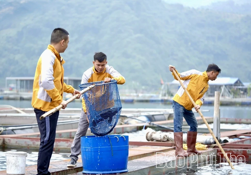 Công ty TNHH Thuỷ sản Hải Đăng Group - doanh nghiệp đang đi đầu về nuôi cá lồng trên vùng lòng hồ sông Đà. Công ty TNHH Thuỷ sản Hải Đăng Group - doanh nghiệp đang đi đầu về nuôi cá lồng trên vùng lòng hồ sông Đà.
