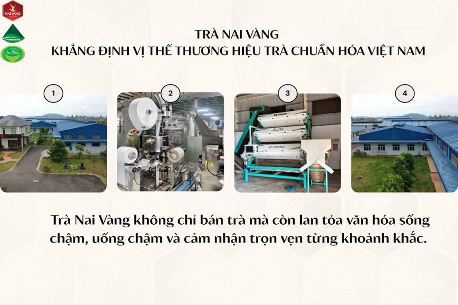 Tr&agrave; Nai V&agrave;ng Thi&ecirc;n Th&agrave;nh lan tỏa văn h&oacute;a tr&agrave;