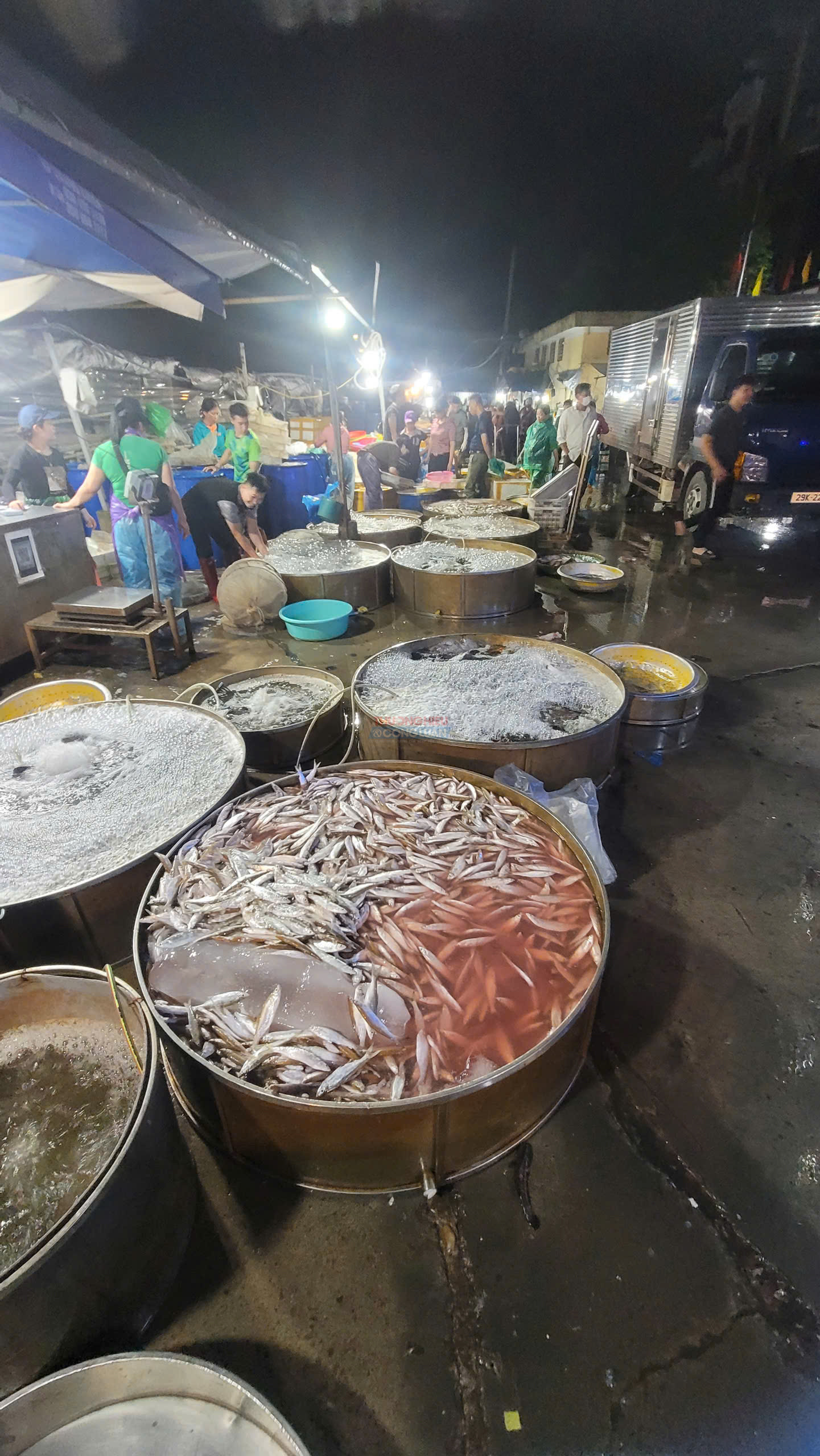 H&agrave;ng chục bể chứa thủy hải sản được đặt s&aacute;t nhau tại chợ La Kh&ecirc; trong đ&ecirc;m.