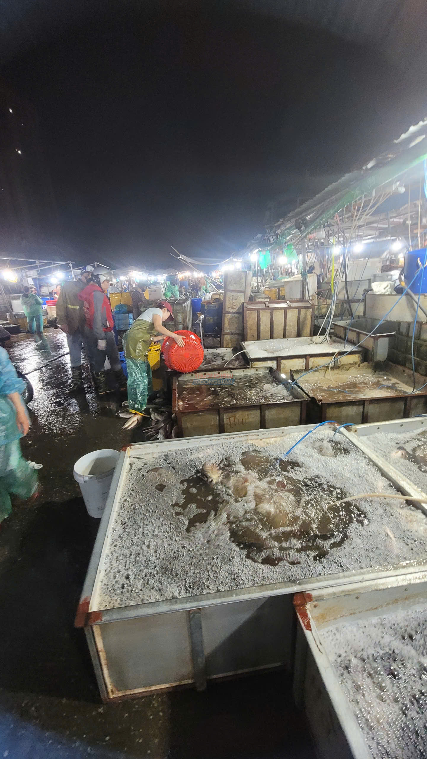 C&aacute;c bể chứa thủy sản hoạt động xuy&ecirc;n đ&ecirc;m tại chợ La Kh&ecirc;. Nhiều khu vực sơ chế, bơm nước v&agrave; xả thải diễn ra ngay cạnh nơi tập kết h&agrave;ng h&oacute;a.