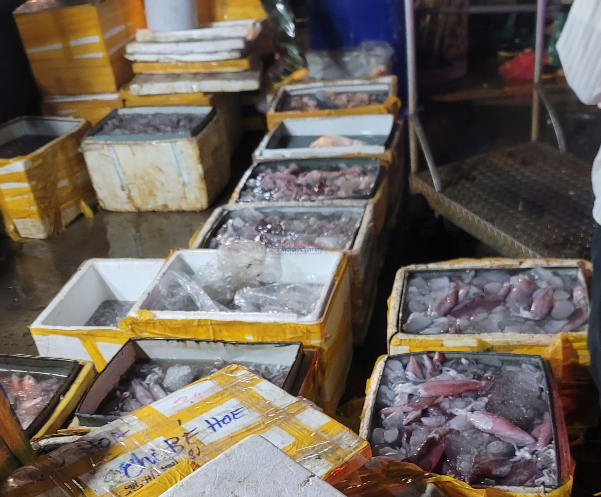 Nhiều th&ugrave;ng xốp chứa hải sản được tập kết tại chợ La Kh&ecirc; trong điều kiện bảo quản tạm bợ. Nguồn gốc v&agrave; quy tr&igrave;nh kiểm so&aacute;t h&agrave;ng h&oacute;a tại đ&acirc;y đặt ra nhiều dấu hỏi.