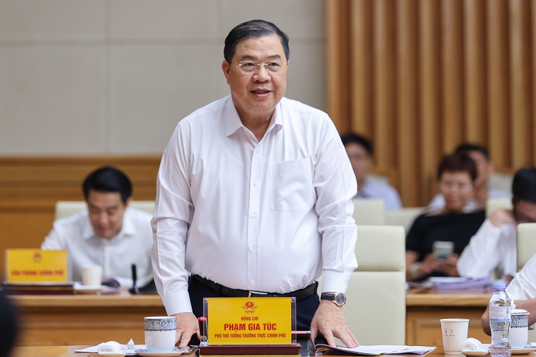 Ph&oacute; Thủ tướng Thường trực Ch&iacute;nh phủ Phạm Gia T&uacute;c ph&aacute;t biểu - Ảnh: VGP/Nhật Bắc