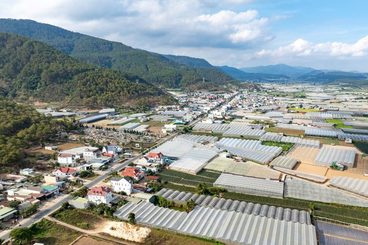 Một góc xã miền núi D'ran, tỉnh Lâm Đồng. Ảnh: Linh Huỳnh - Hải Anh. Một góc xã miền núi D'ran, tỉnh Lâm Đồng. Ảnh: Linh Huỳnh - Hải Anh.