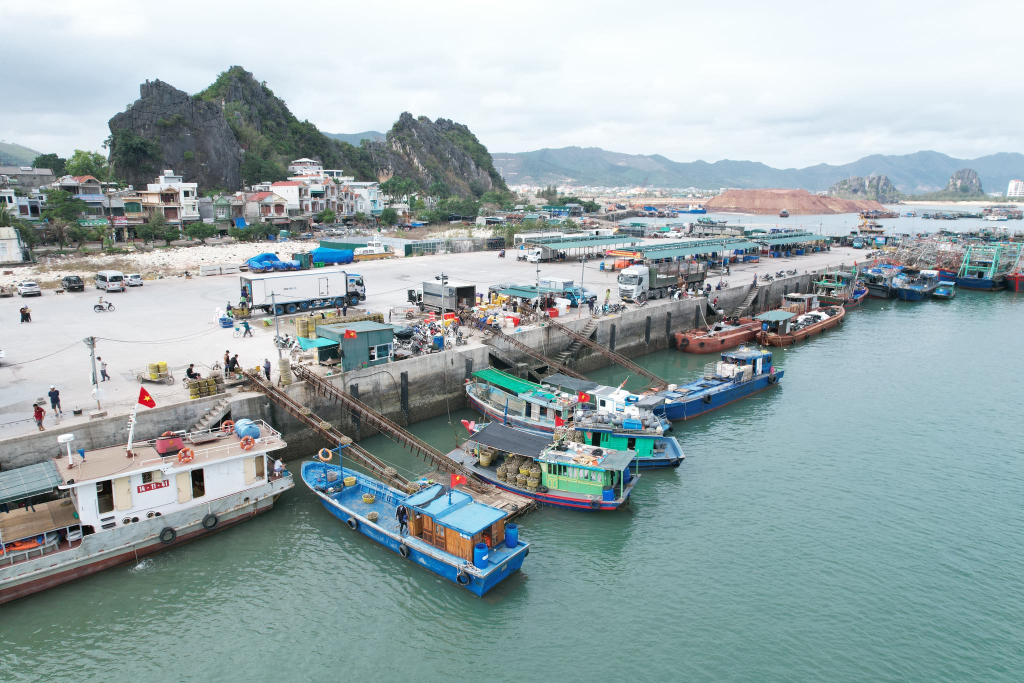 Công bố mở cảng cá Cái Rồng tại đặc khu Vân Đồn
