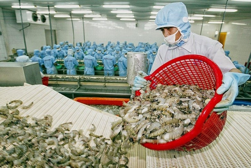 Hoa Kỳ ban hành kết luận sơ bộ trong kỳ rà soát POR20 đối với tôm Việt Nam xuất khẩu sang Hoa Kỳ