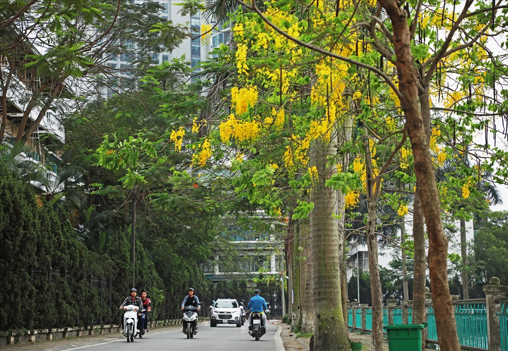 Hà Nội dự kiến hoàn thành cải tạo tuyến đường ven hồ Tây vào năm 2030