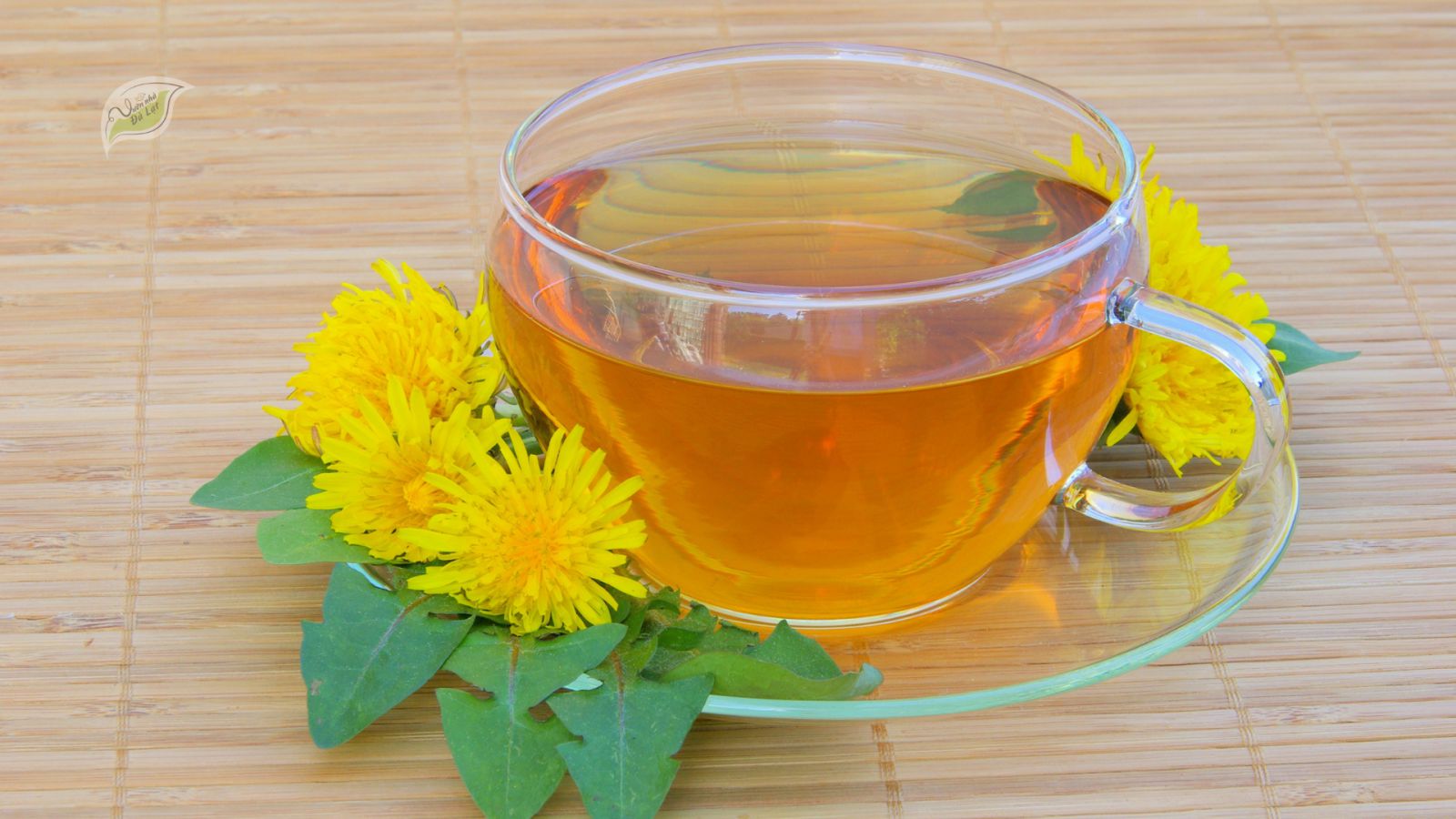 Trà bồ công anh có tác dụng gì? Những lợi ích và lưu ý quan trọng khi sử dụng