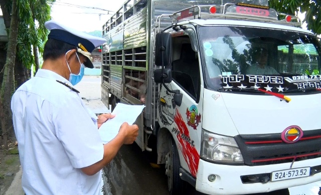 Kiểm tra động vật tại một cơ sở giết mổ ở phường Hòa Khánh, TP. Đà Nẵng. Kiểm tra động vật tại một cơ sở giết mổ ở phường Hòa Khánh, TP. Đà Nẵng.