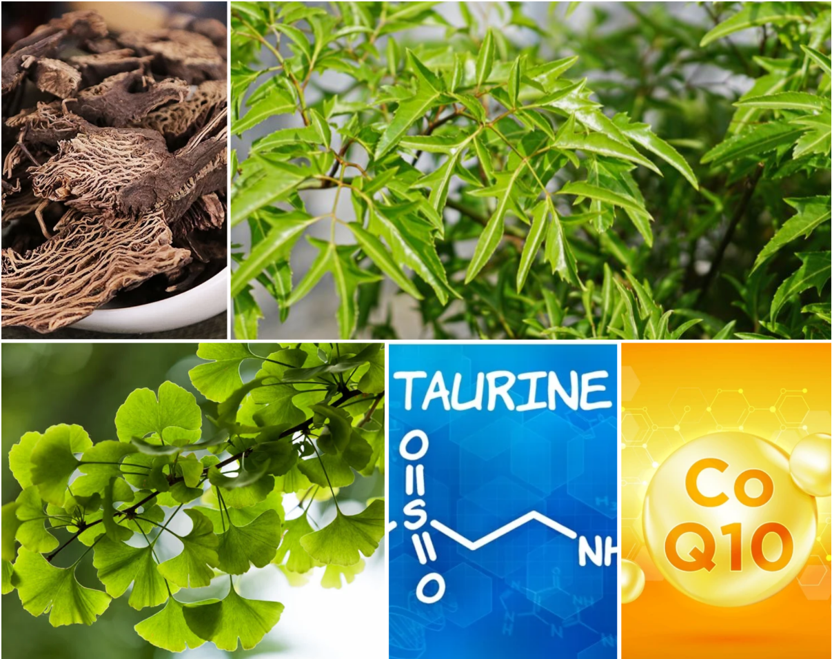 Nhiều thảo dược v&agrave; dưỡng chất tốt cho trẻ tăng động giảm ch&uacute; &yacute;