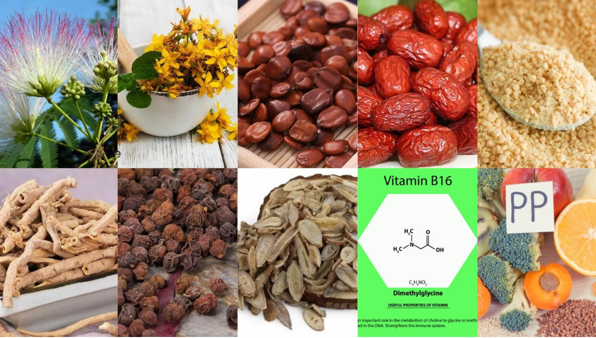 Sự kết hợp c&aacute;c th&agrave;nh phần gi&uacute;p cải thiện lo lắng hiệu quả