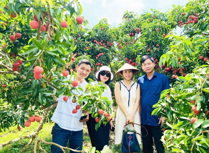 OCOP và du lịch nông thôn tạo động lực phát triển kinh tế nông thôn bền vững