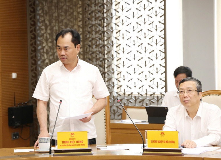 Bộ trưởng Bộ N&ocirc;ng nghiệp v&agrave; M&ocirc;i trường Trịnh Việt H&ugrave;ng ph&aacute;t biểu tại cuộc họp - Ảnh: VGP/Gia Huy