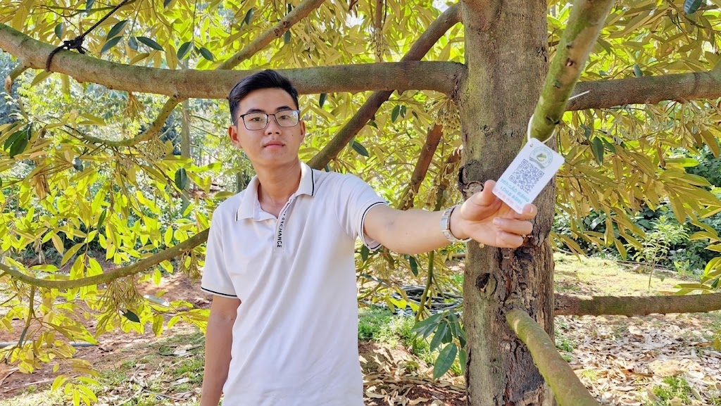 Tem QR chưa đủ chặn hàng bẩn: Truy xuất nguồn gốc vẫn loay hoay ở “phần ngọn”