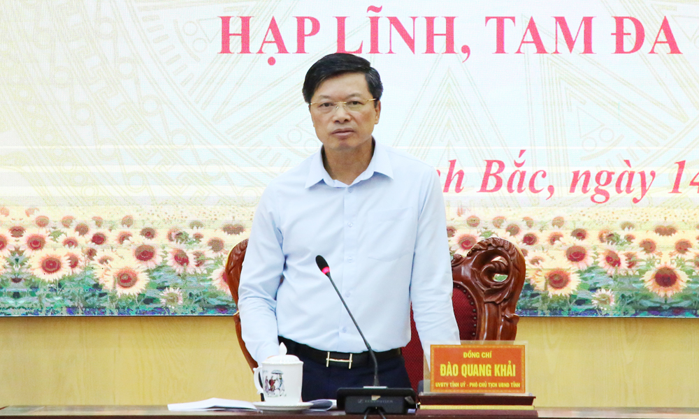 Ph&oacute; Chủ tịch UBND tỉnh Đ&agrave;o Quang Khải chủ tr&igrave; hội nghị.
