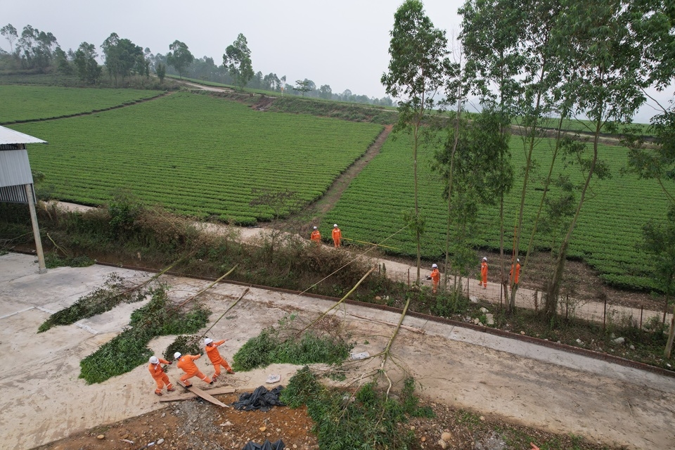 Nhân viên Điện lực xử lý phát quang hành lang lưới tuyến tại Lào Cai Nhân viên Điện lực xử lý phát quang hành lang lưới tuyến tại Lào Cai