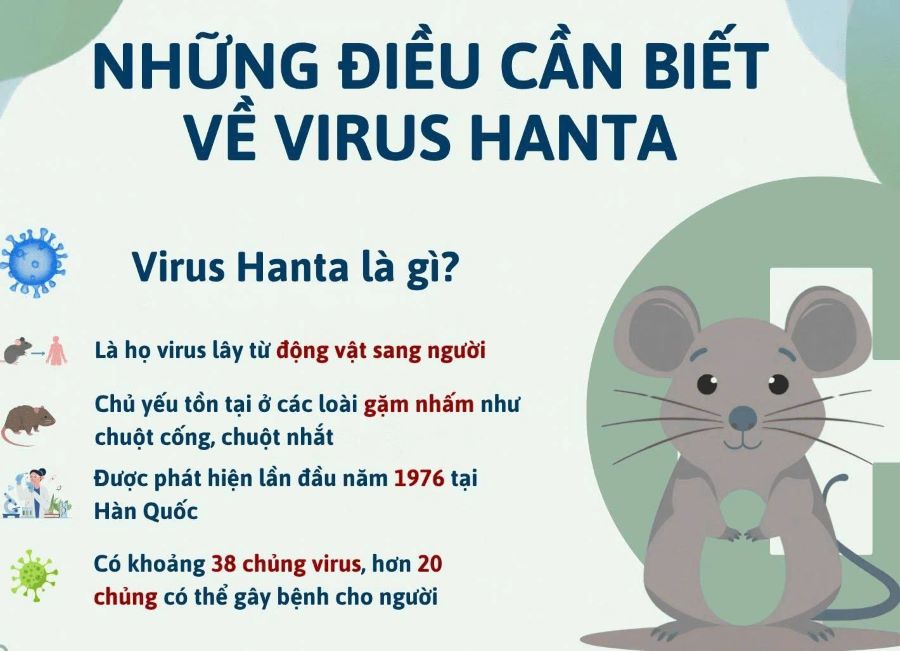 Hà Tĩnh: Tăng cường giám sát, phòng chống bệnh do vi rút Hanta