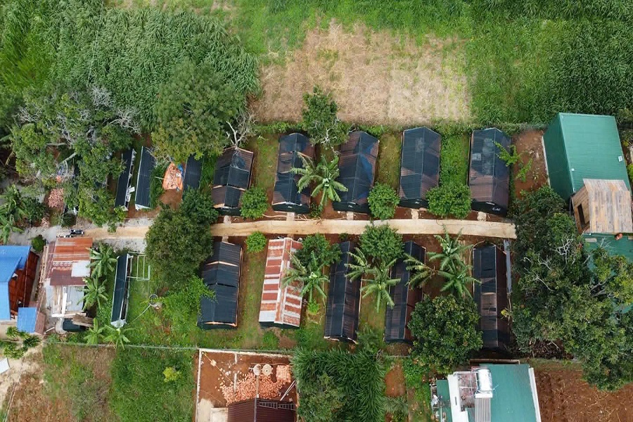 To&agrave;n cảnh farm 1 chăn nu&ocirc;i sản xuất tr&ugrave;n của HTX.