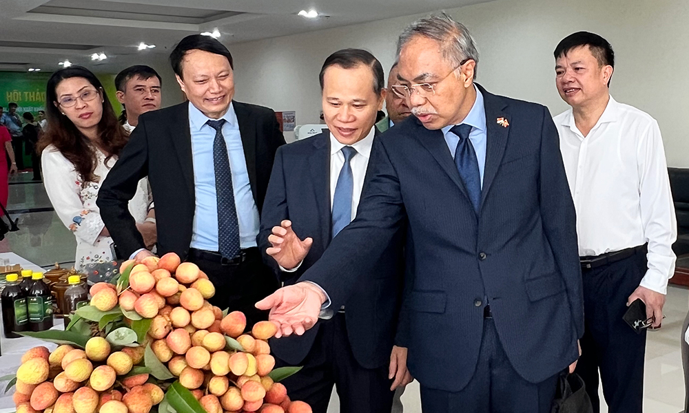 Đại biểu tham quan gian h&agrave;ng giới thiệu sản phẩm ti&ecirc;u biểu của Bắc Ninh.