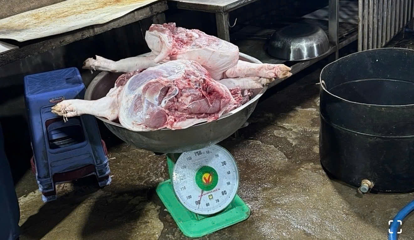 L&ograve; giết mổ heo kh&ocirc;ng ph&eacute;p bị cơ quan chức năng bắt quả tang. (Ảnh: Chi cục Chăn nu&ocirc;i v&agrave; Th&uacute; y TP HCM)