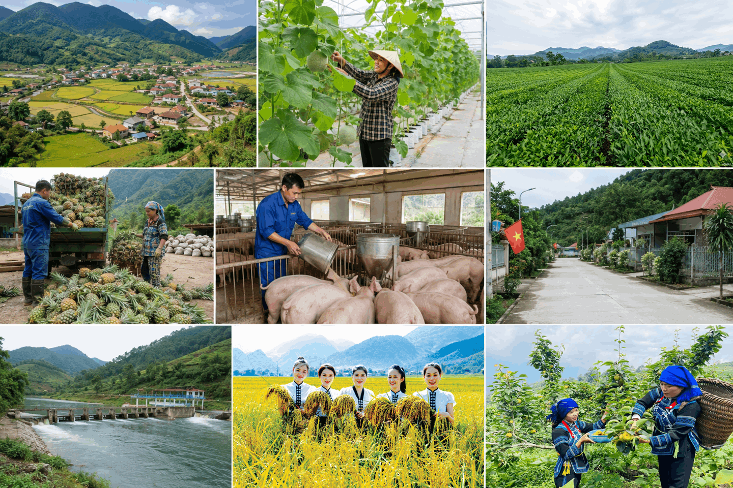Khuyến kh&iacute;ch ứng dụng khoa học c&ocirc;ng nghệ, chuyển đổi số trong sản xuất n&ocirc;ng nghiệp; ph&aacute;t triển c&aacute;c m&ocirc; h&igrave;nh n&ocirc;ng nghiệp hữu cơ, n&ocirc;ng nghiệp tuần ho&agrave;n, n&ocirc;ng nghiệp c&ocirc;ng nghệ cao