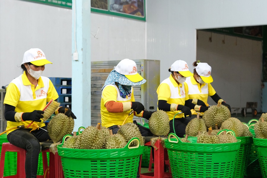 Lâm Đồng tháo gỡ điểm nghẽn mã số vùng trồng phục vụ xuất khẩu nông sản