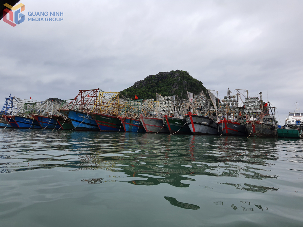 Quảng Ninh: Giảm tàu cá nhỏ, hướng tới khai thác thủy sản bền vững